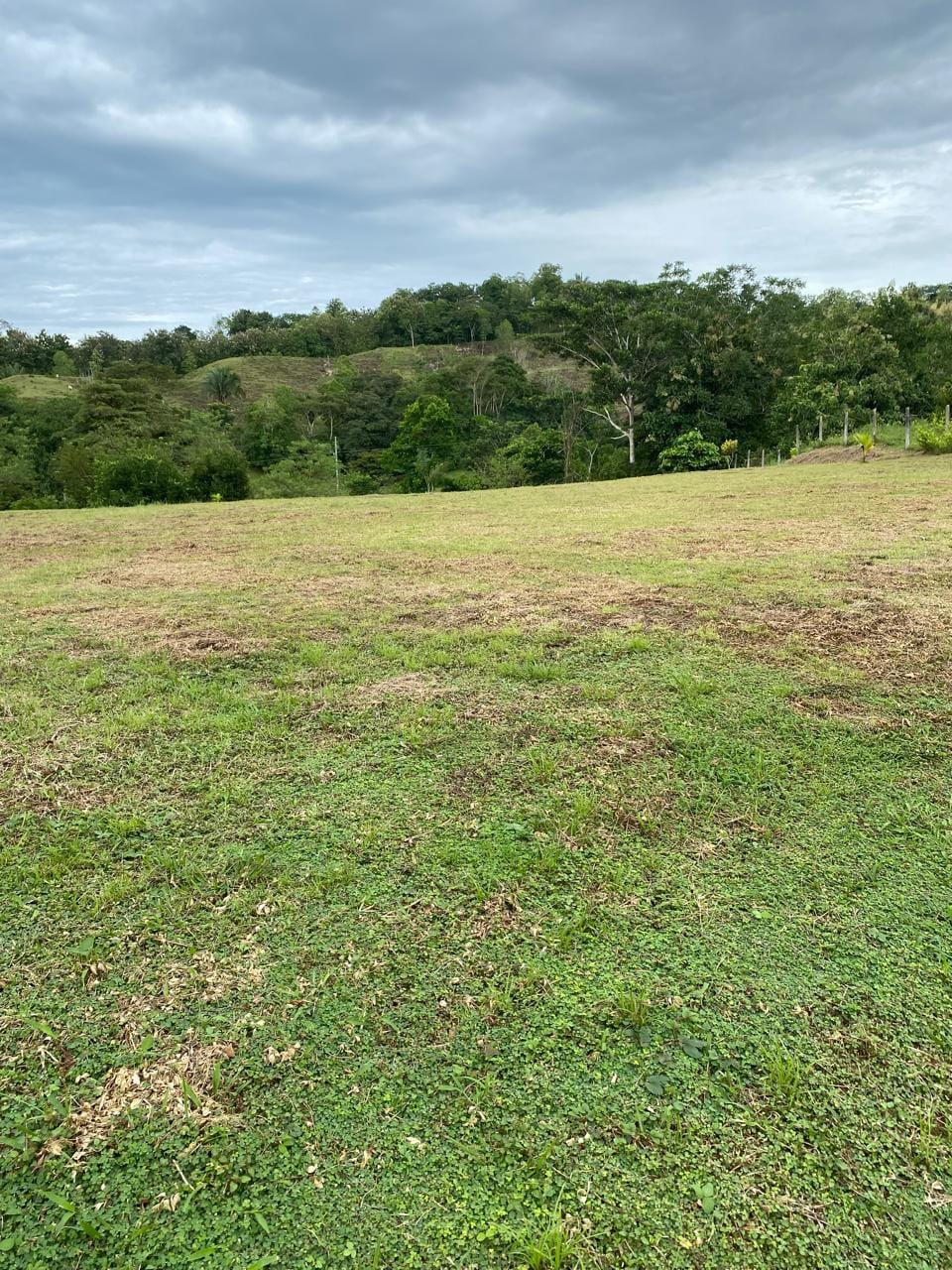 Development opportunity in Golfito