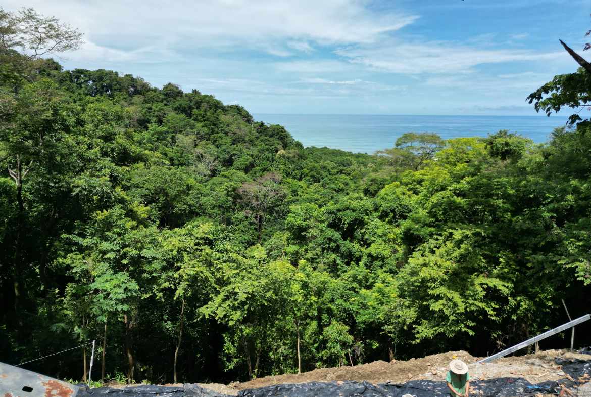 2 luxury homes in Malpais