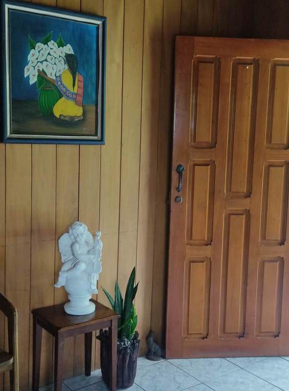 Villa in La fortuna
