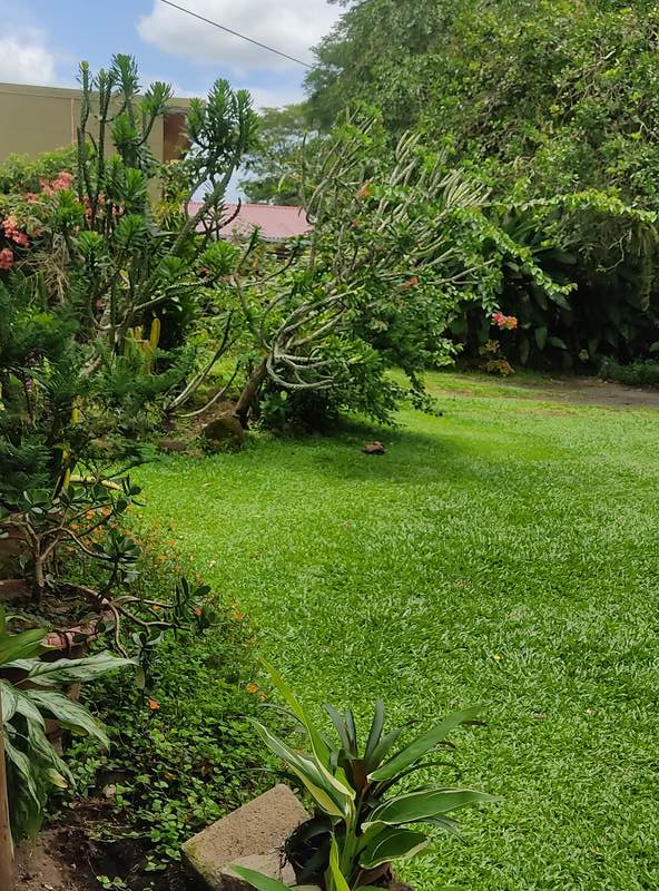 Villa in La fortuna