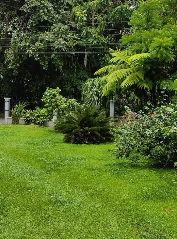 Villa in La fortuna