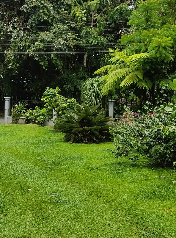 Villa in La fortuna
