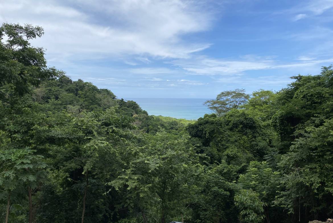 2 luxury homes in Malpais