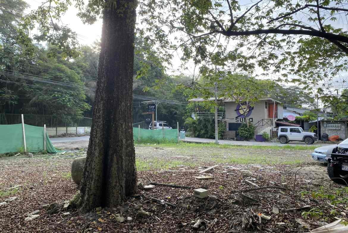 Land in Santa Teresa