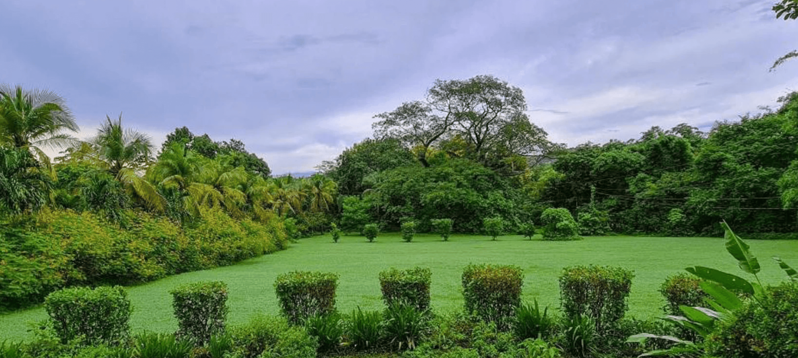 Income producing property in Playa del Coco