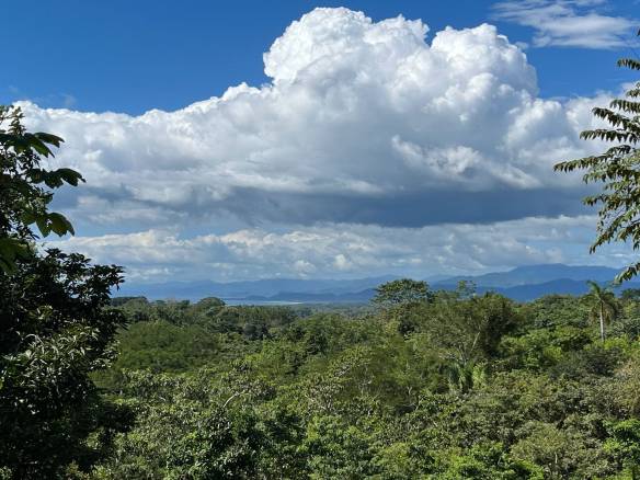 Jungle view lot in Playa Hermosa, Santa Teresa