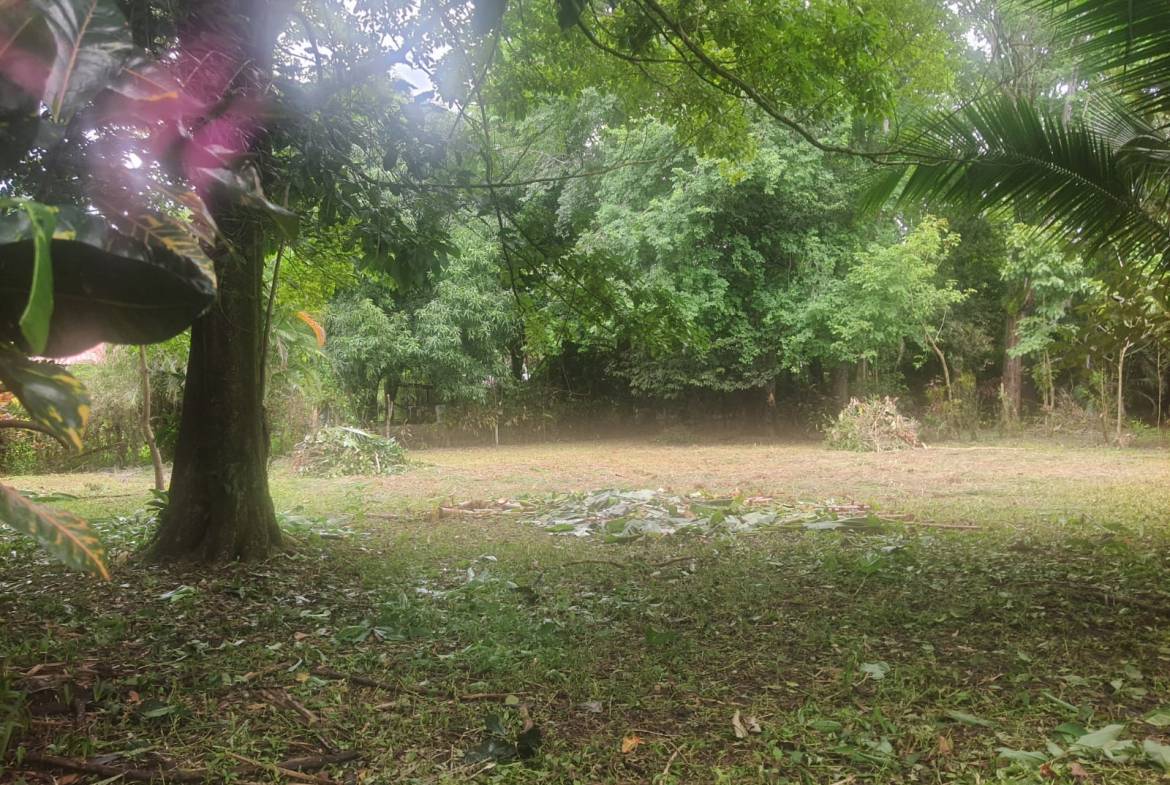 Lot for sale in Pavones