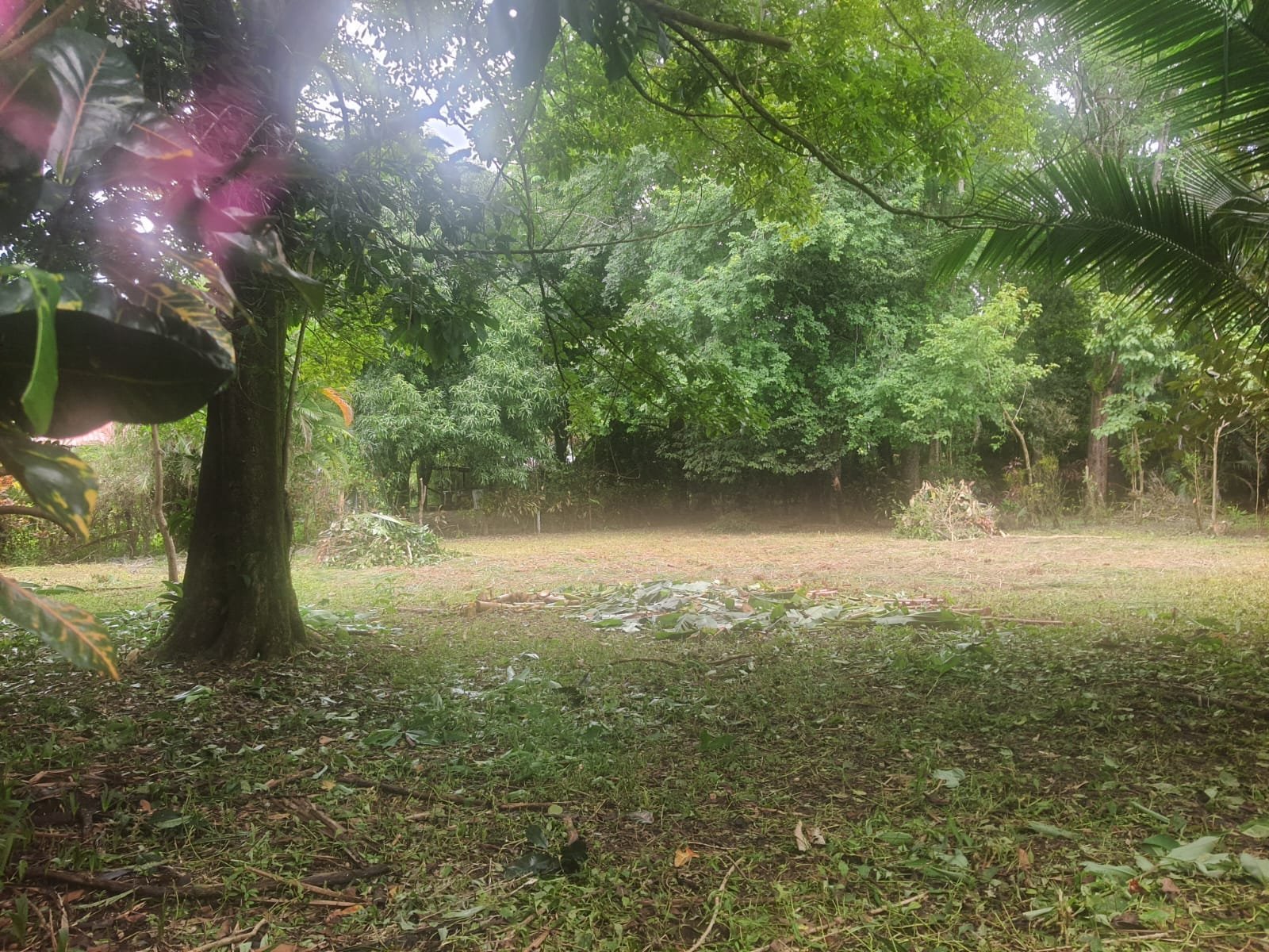 Lot for sale in Pavones