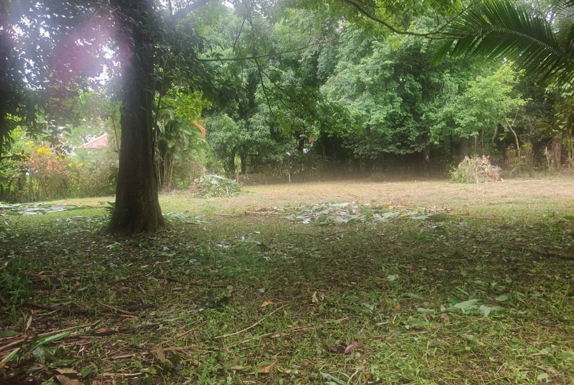 Lot for sale in Pavones