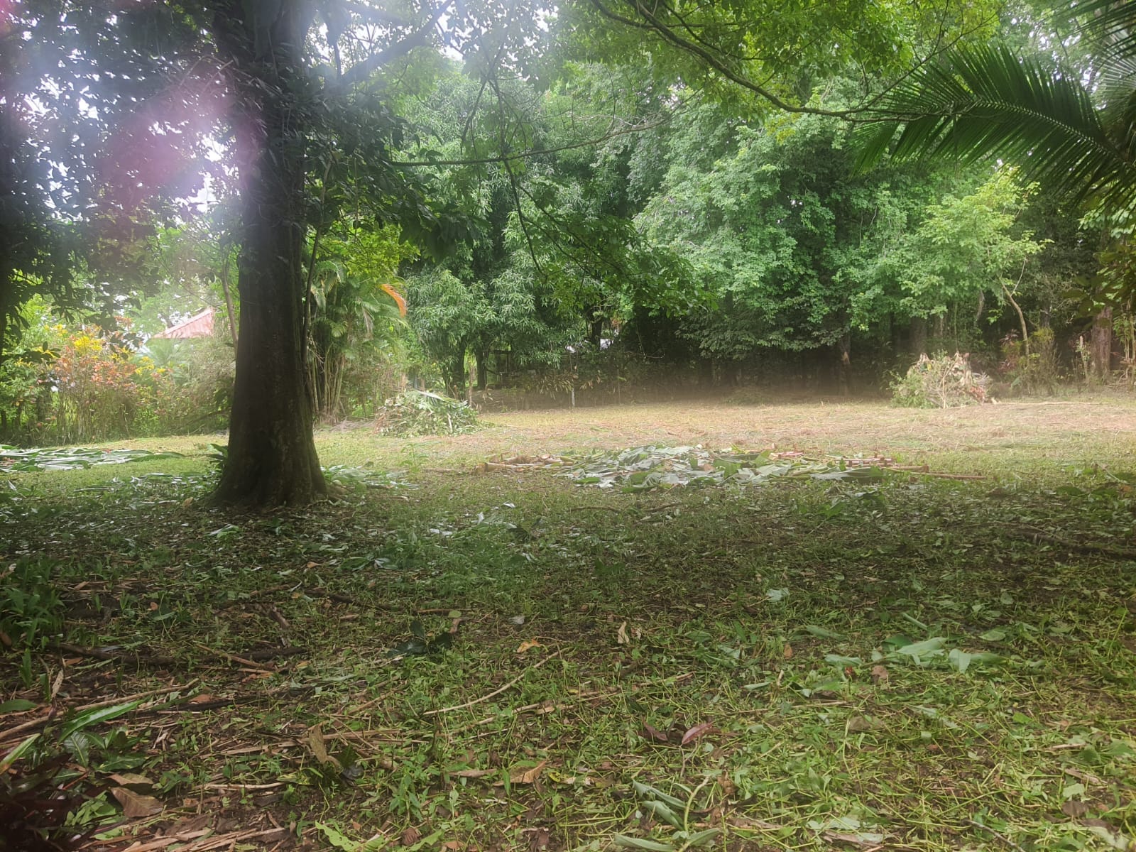 Lot for sale in Pavones