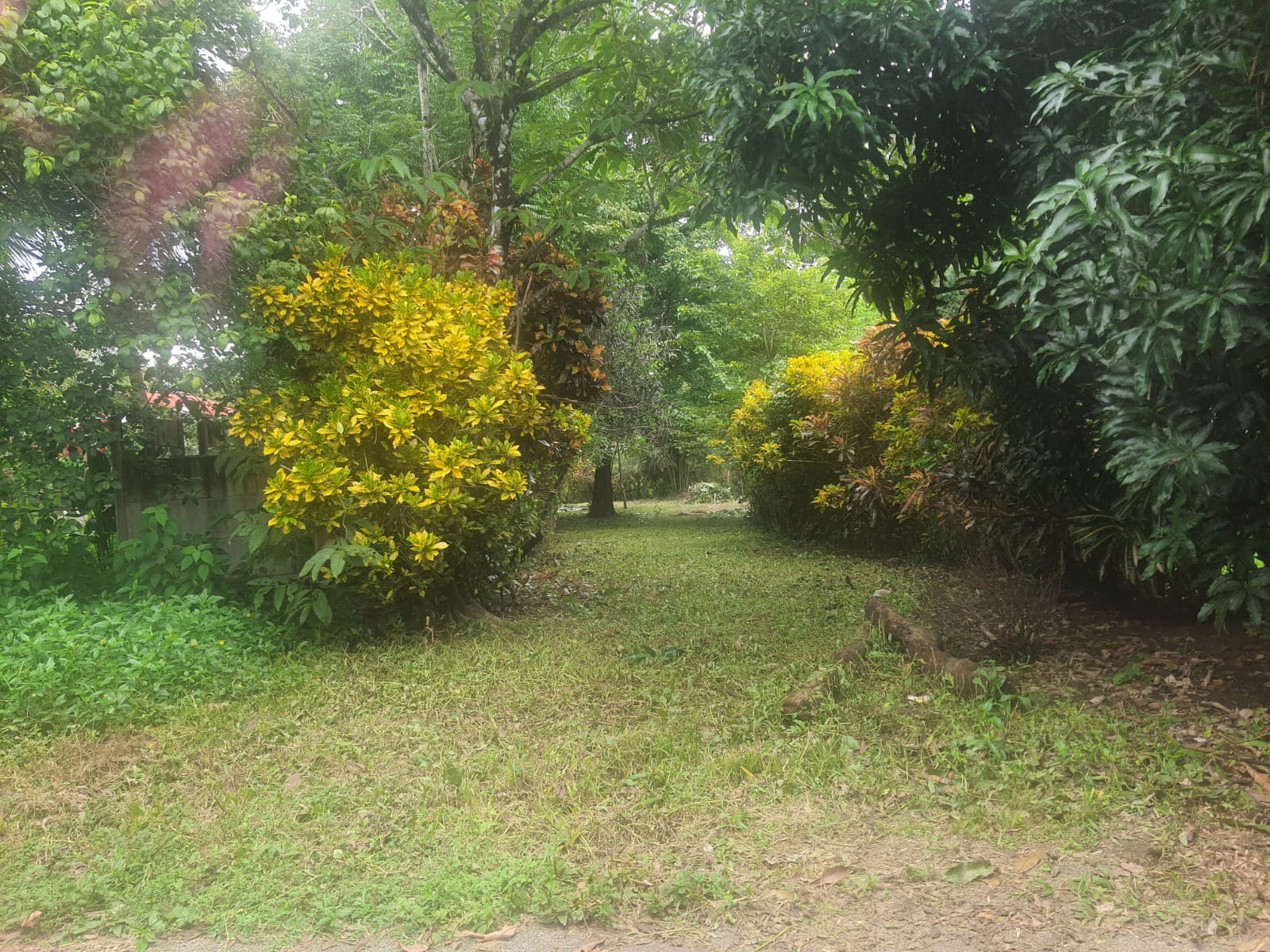 Lot for sale in Pavones