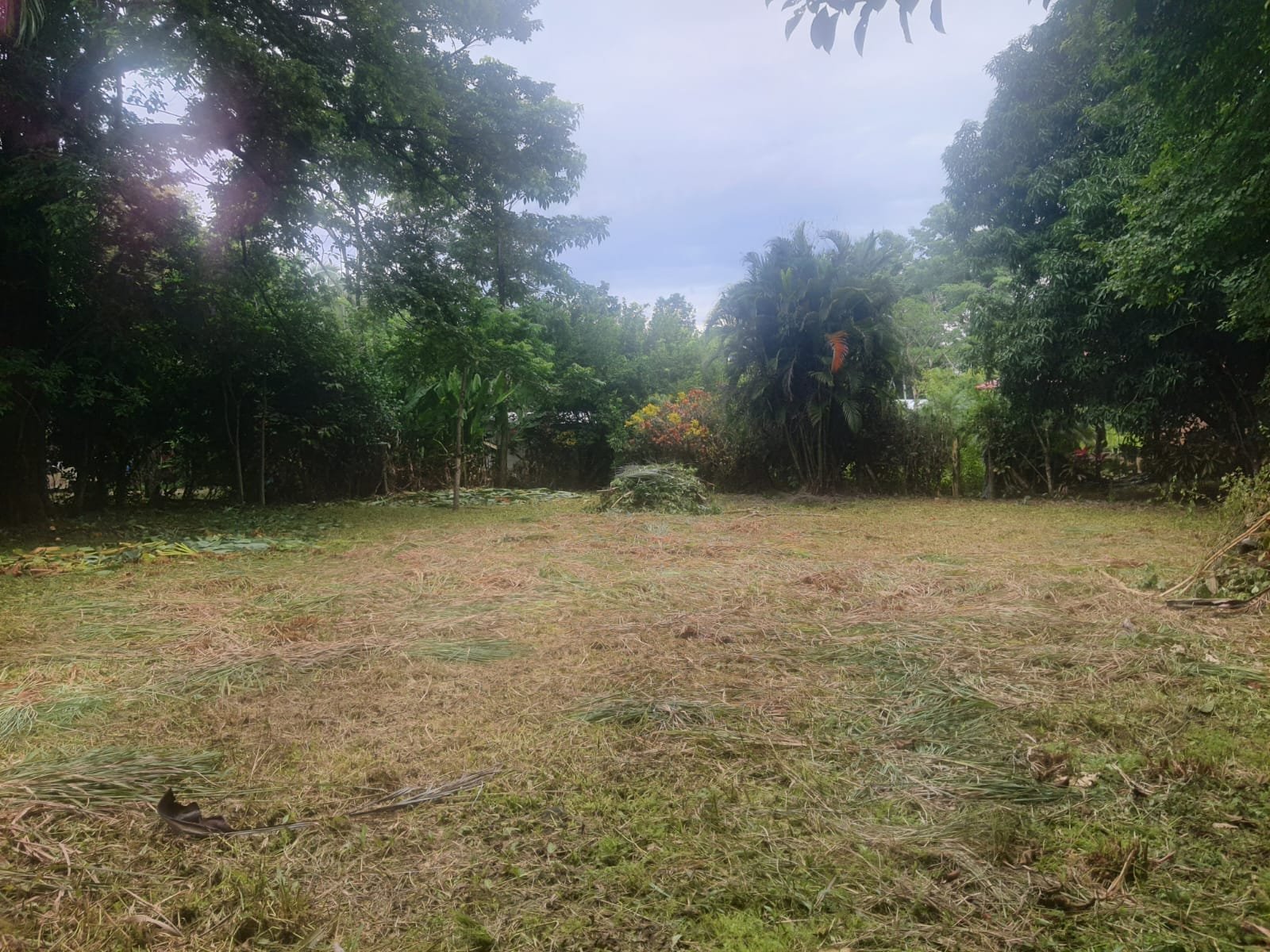 Lot for sale in Pavones