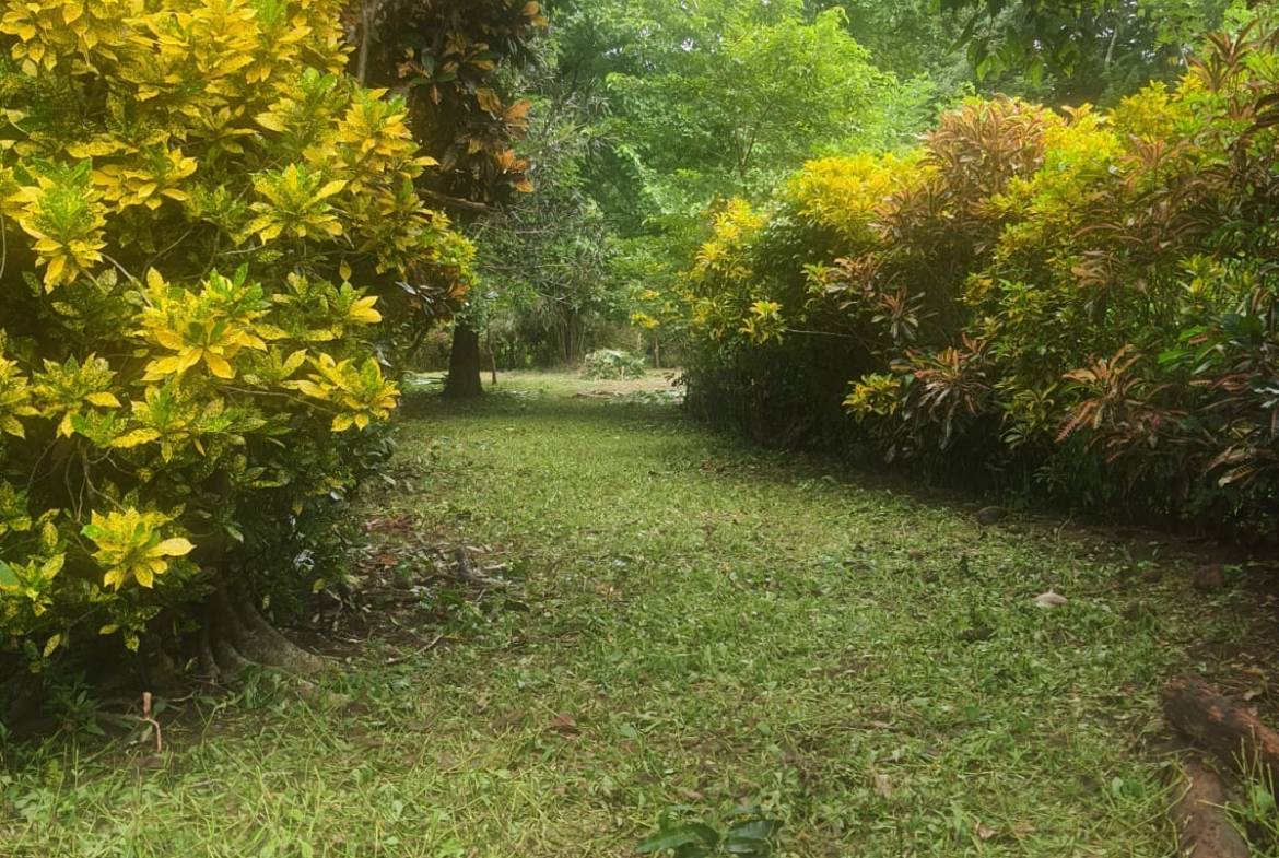 Lot for sale in Pavones