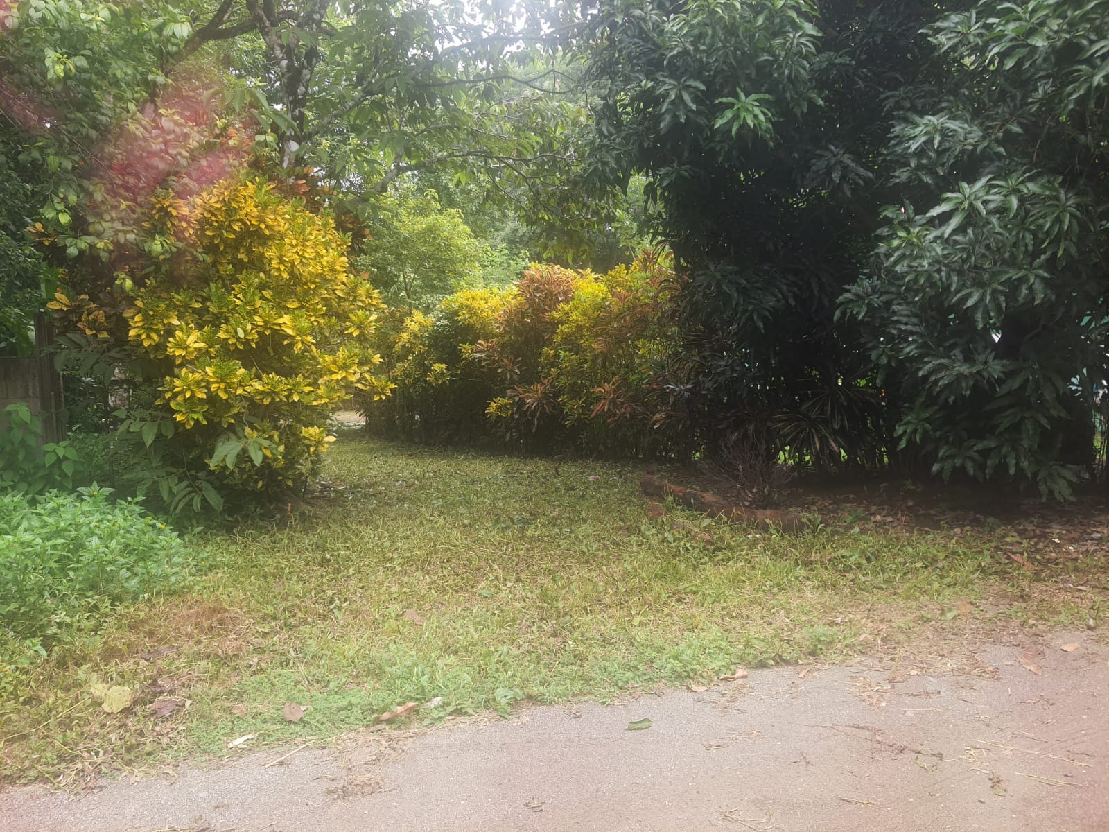 Lot for sale in Pavones