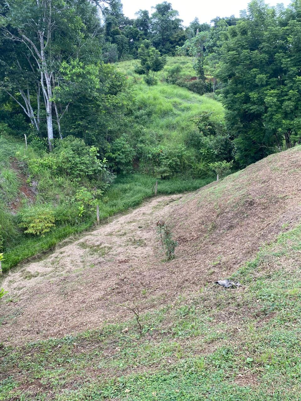 Development opportunity in Golfito