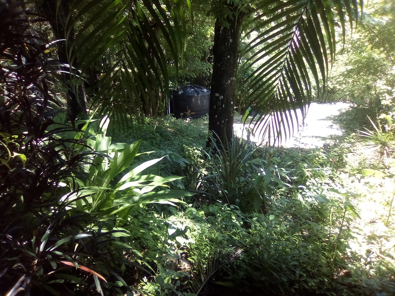 Land in Playa Hermosa, Santa Teresa