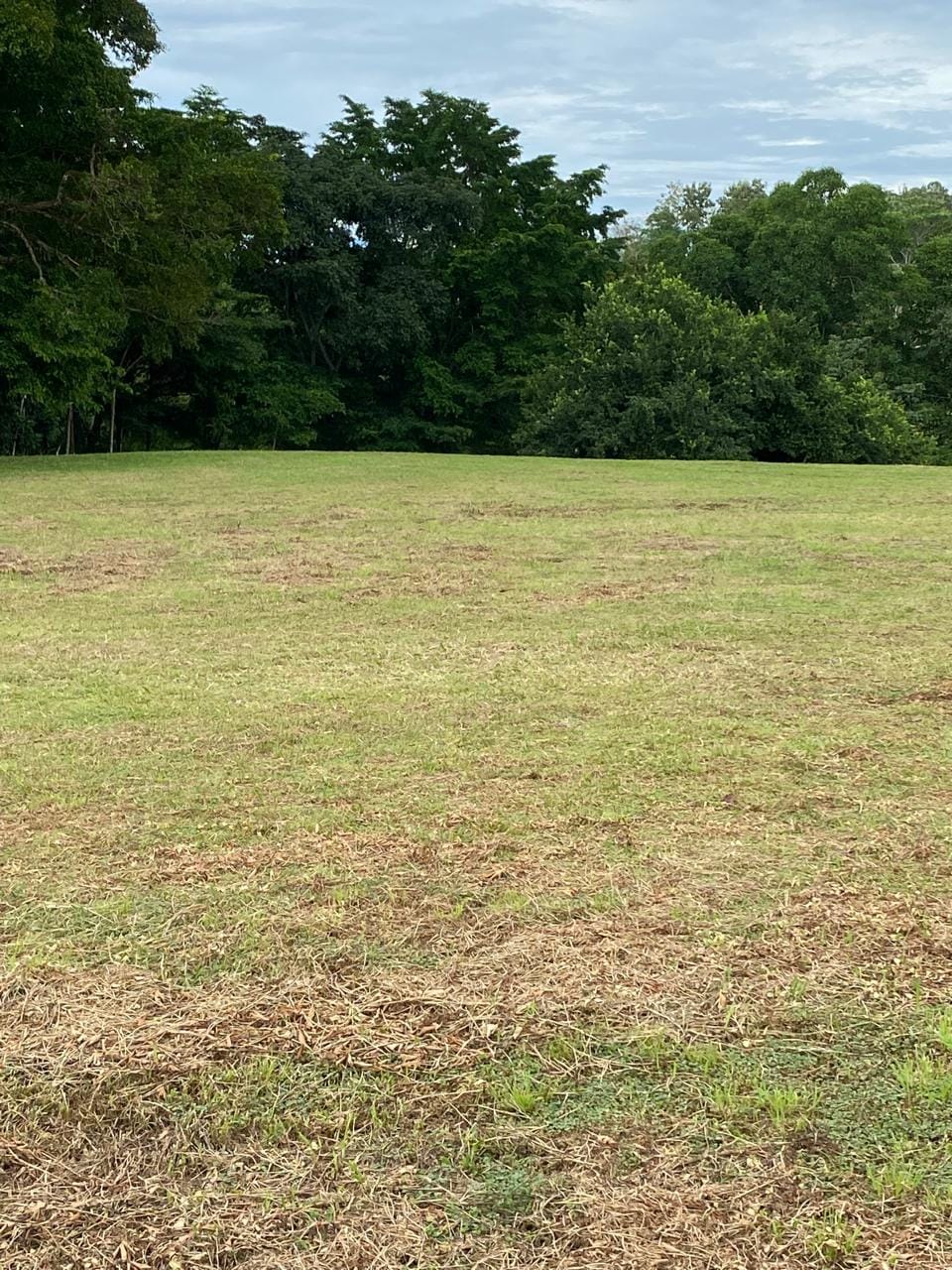 Development opportunity in Golfito