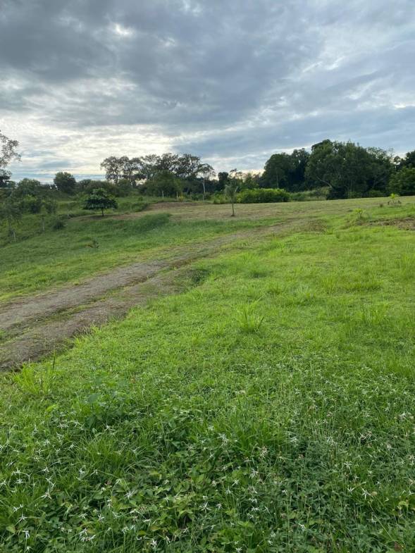 Development opportunity in Golfito