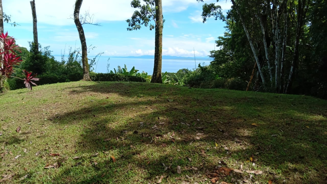 Land with ocean view in Pavones