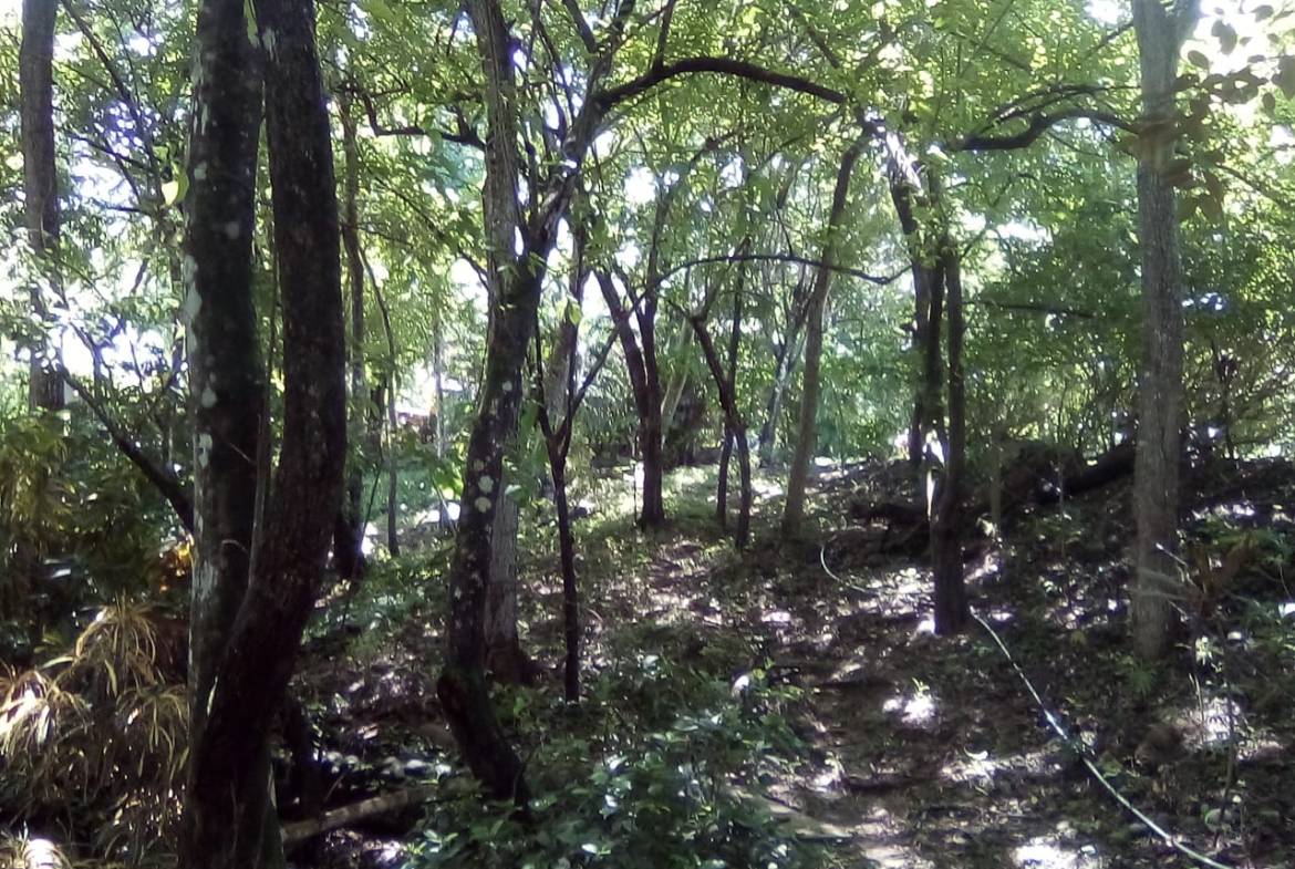 Land in Playa Hermosa, Santa Teresa