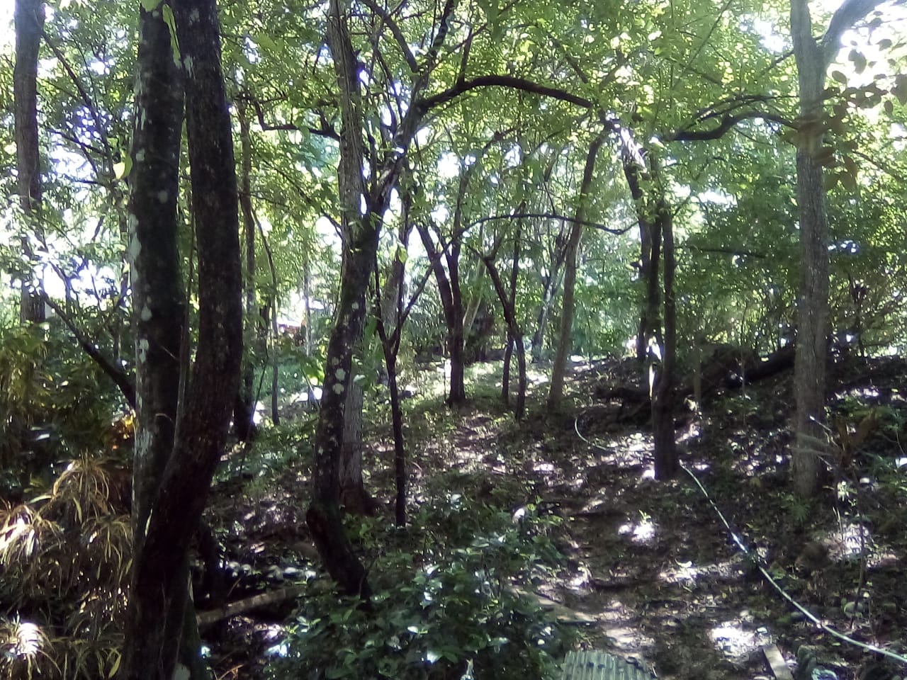 Land in Playa Hermosa, Santa Teresa