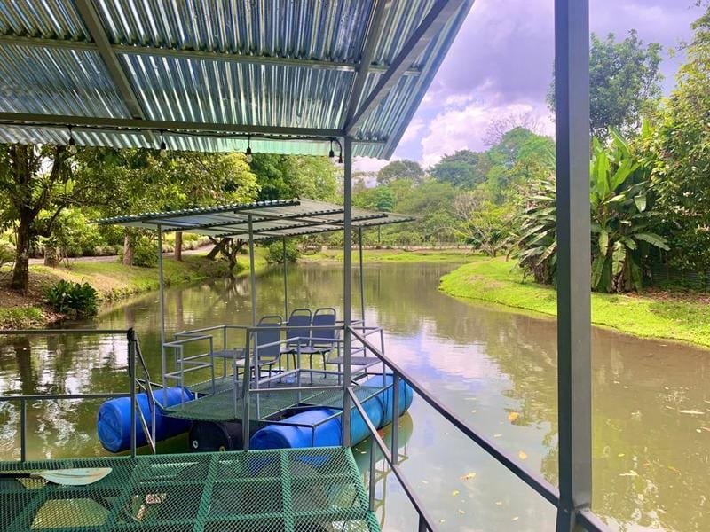 Income producing property in La Fortuna