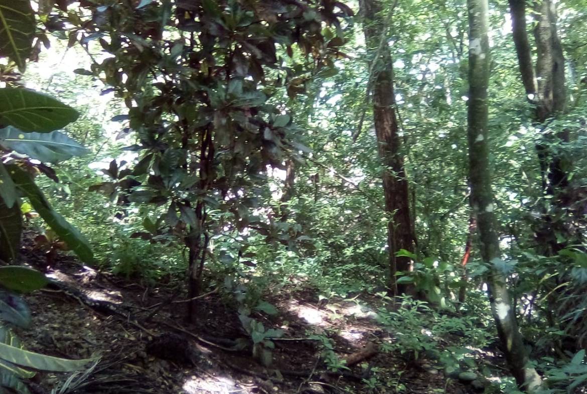 Land in Playa Hermosa, Santa Teresa