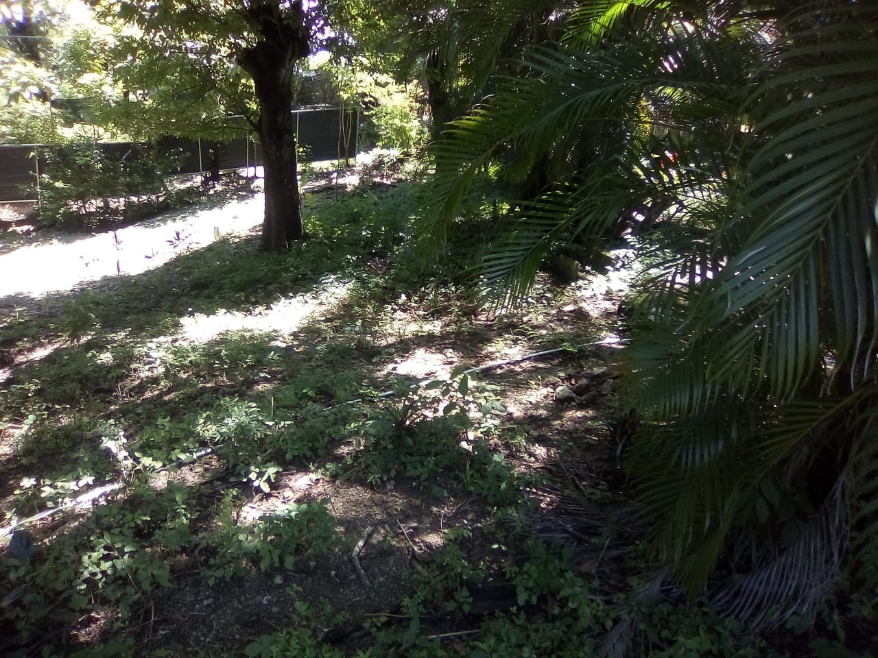 Land in Playa Hermosa, Santa Teresa