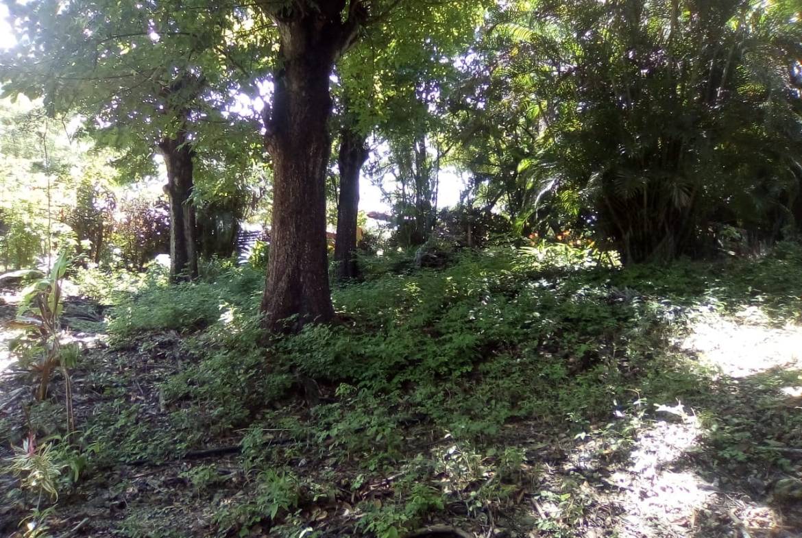 Land in Playa Hermosa, Santa Teresa