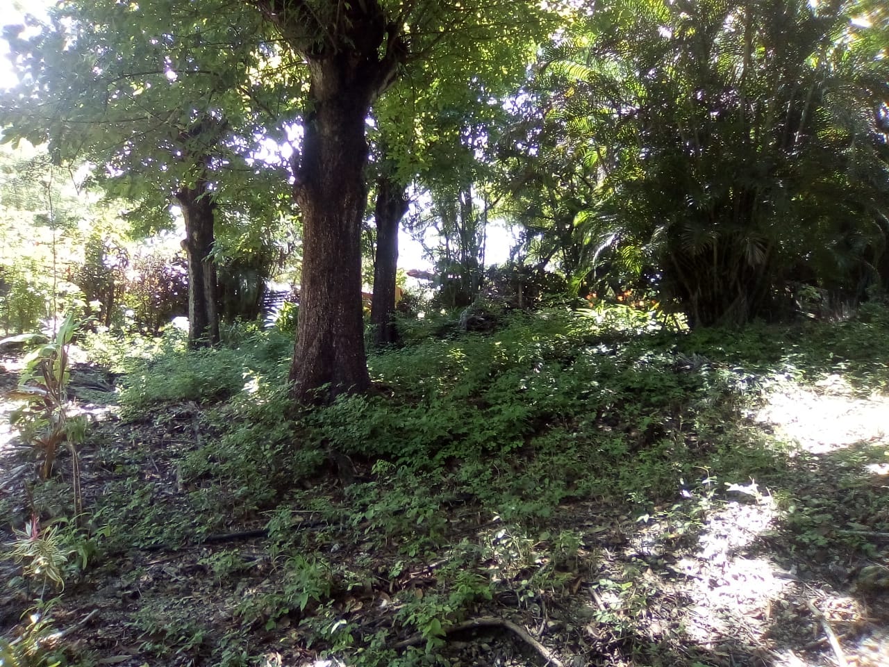 Land in Playa Hermosa, Santa Teresa