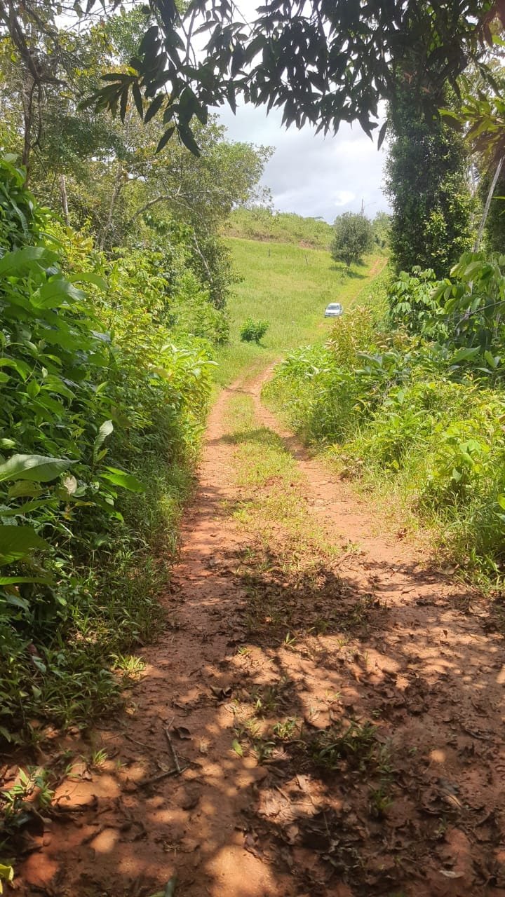 Land with ocean view in Cuervito