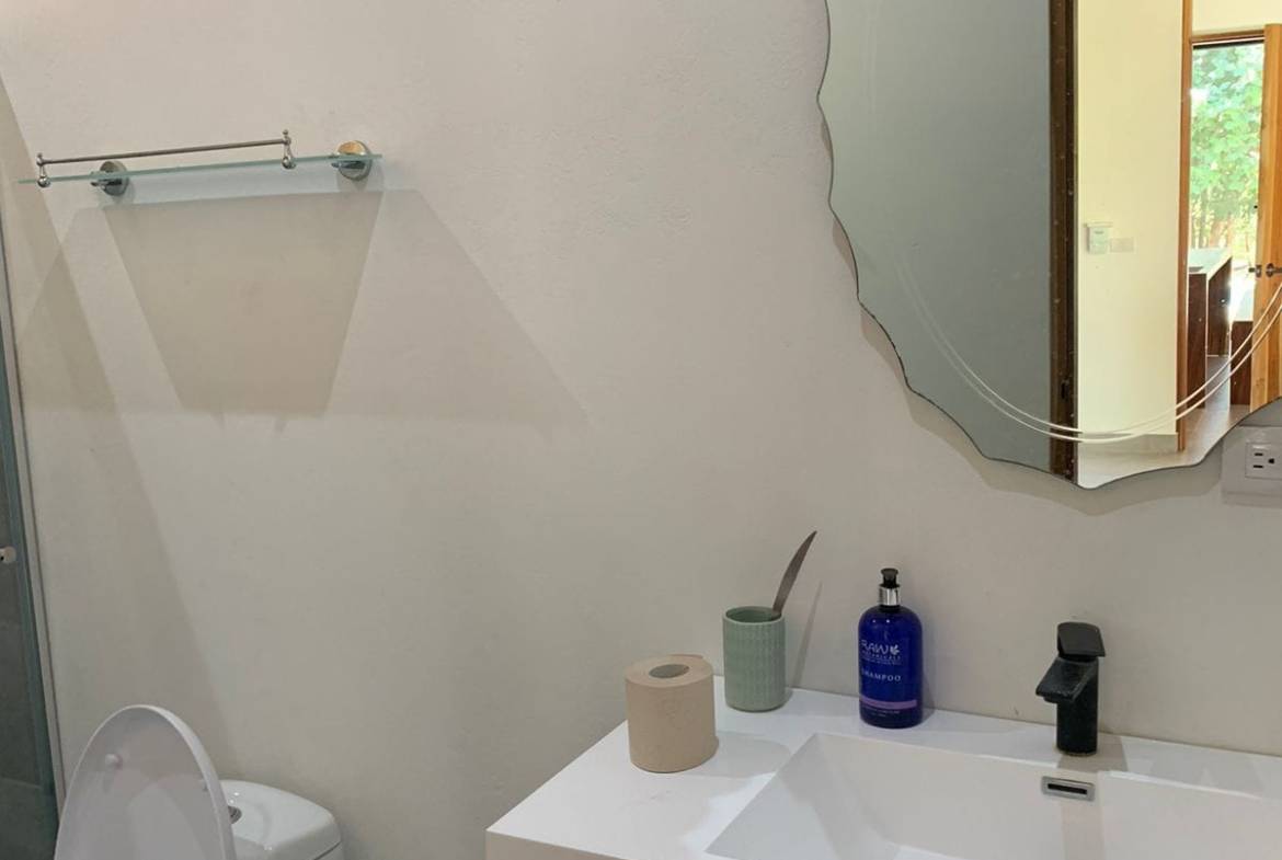 Modern home in Santa Teresa