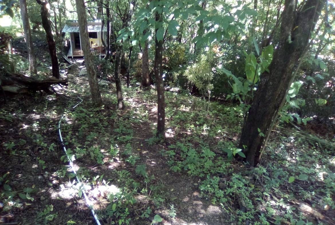 Land in Playa Hermosa, Santa Teresa