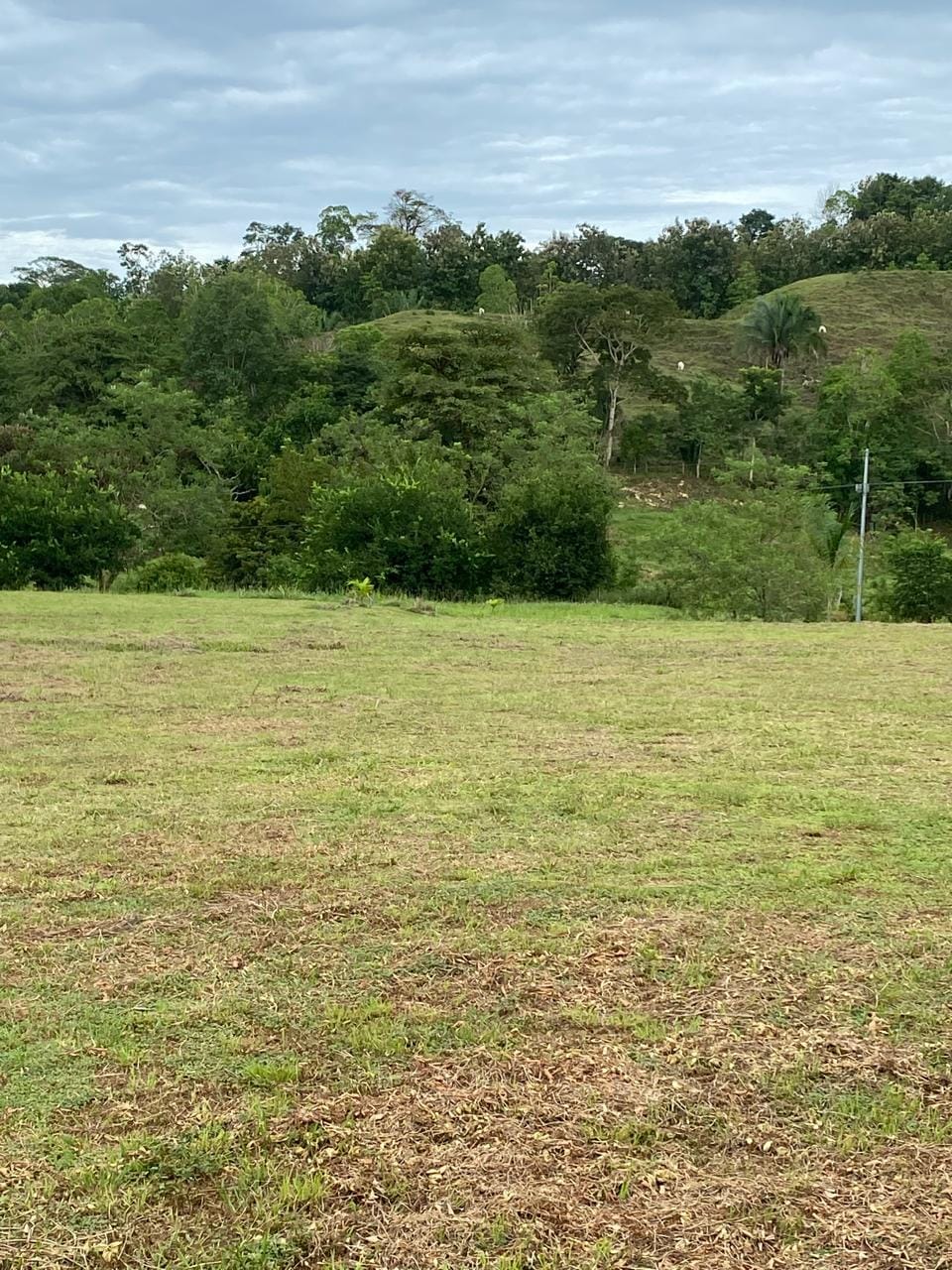 Development opportunity in Golfito