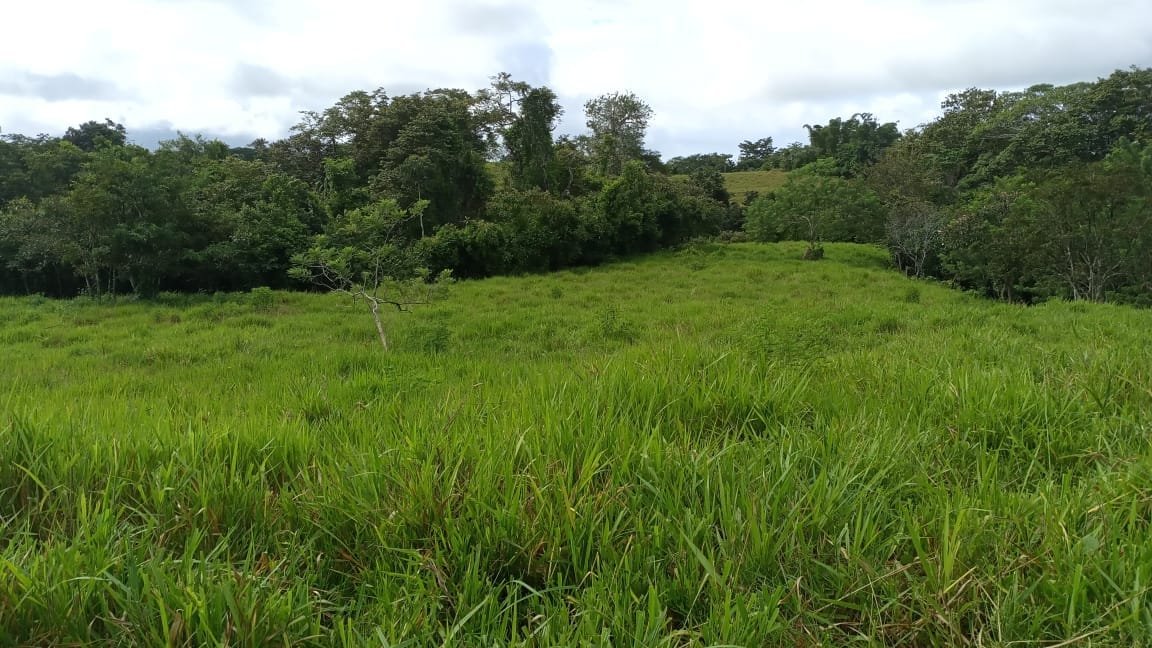 Development opportunity in San Isidro, Santa Teresa