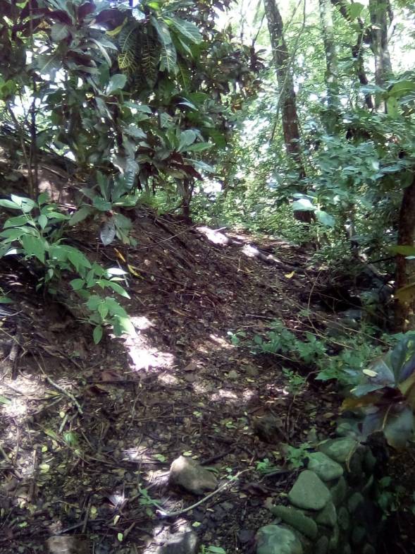 Land in Playa Hermosa, Santa Teresa
