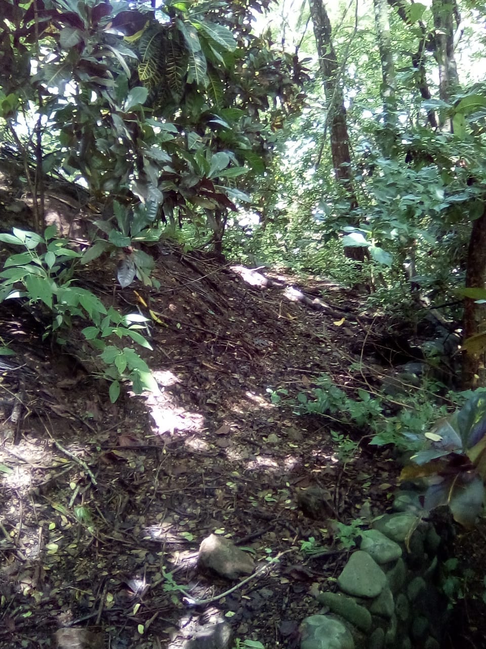 Land in Playa Hermosa, Santa Teresa