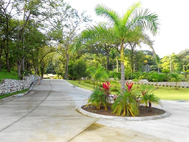 Condo steps away from the Carrillo beach