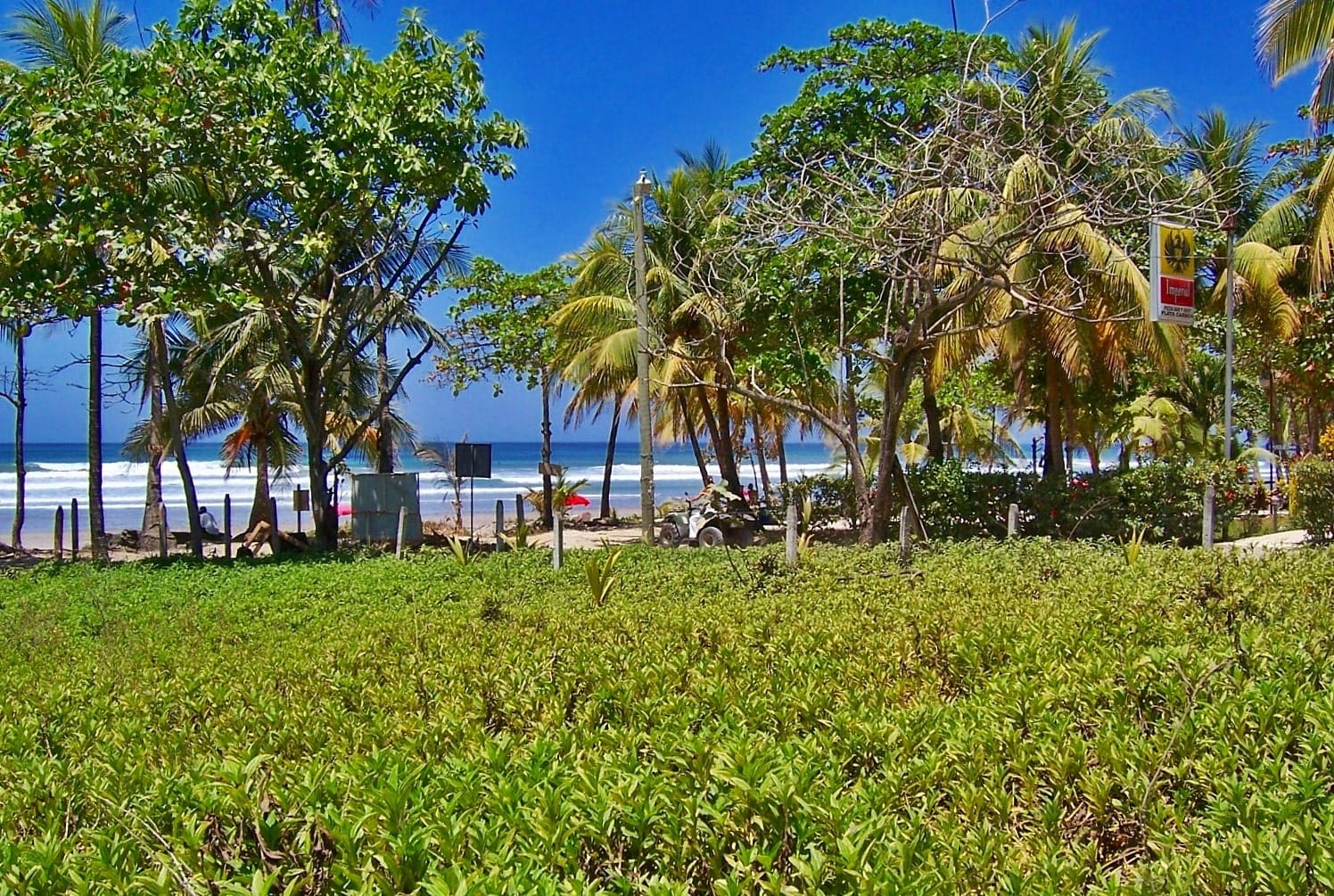 Development opportunity in Santa Teresa Development opportunity in Santa Teresa