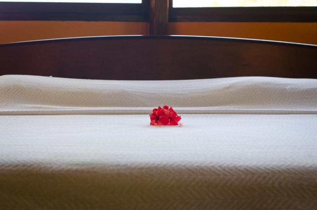 Luxury Hotel in Malpais, Santa Teresa