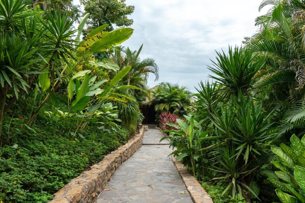 Luxury Hotel in Malpais, Santa Teresa