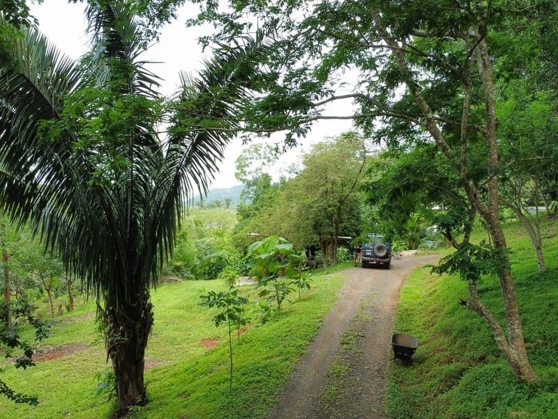 Land for sale in Carrillo