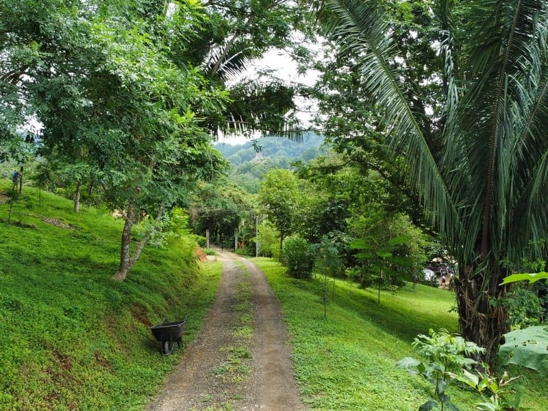 Land for sale in Carrillo