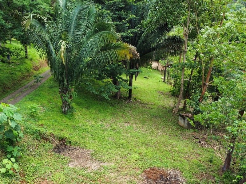 Land for sale in Carrillo