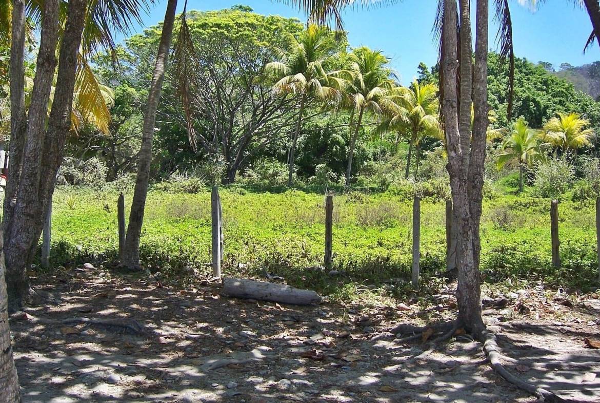 Development opportunity in Santa Teresa