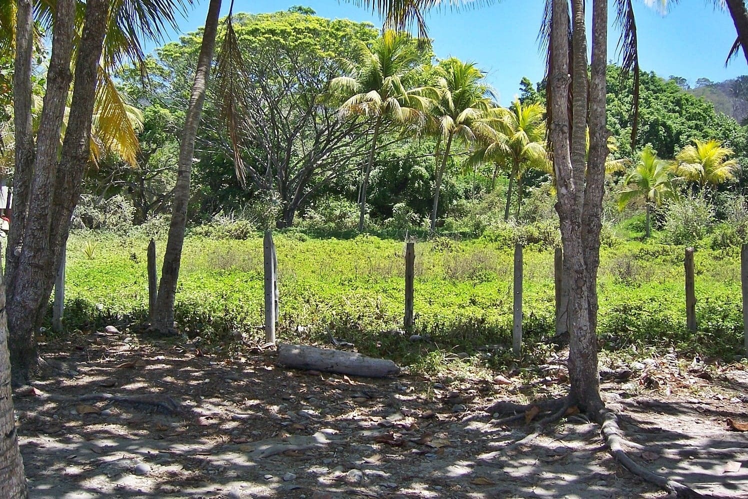 Development opportunity in Santa Teresa Development opportunity in Santa Teresa