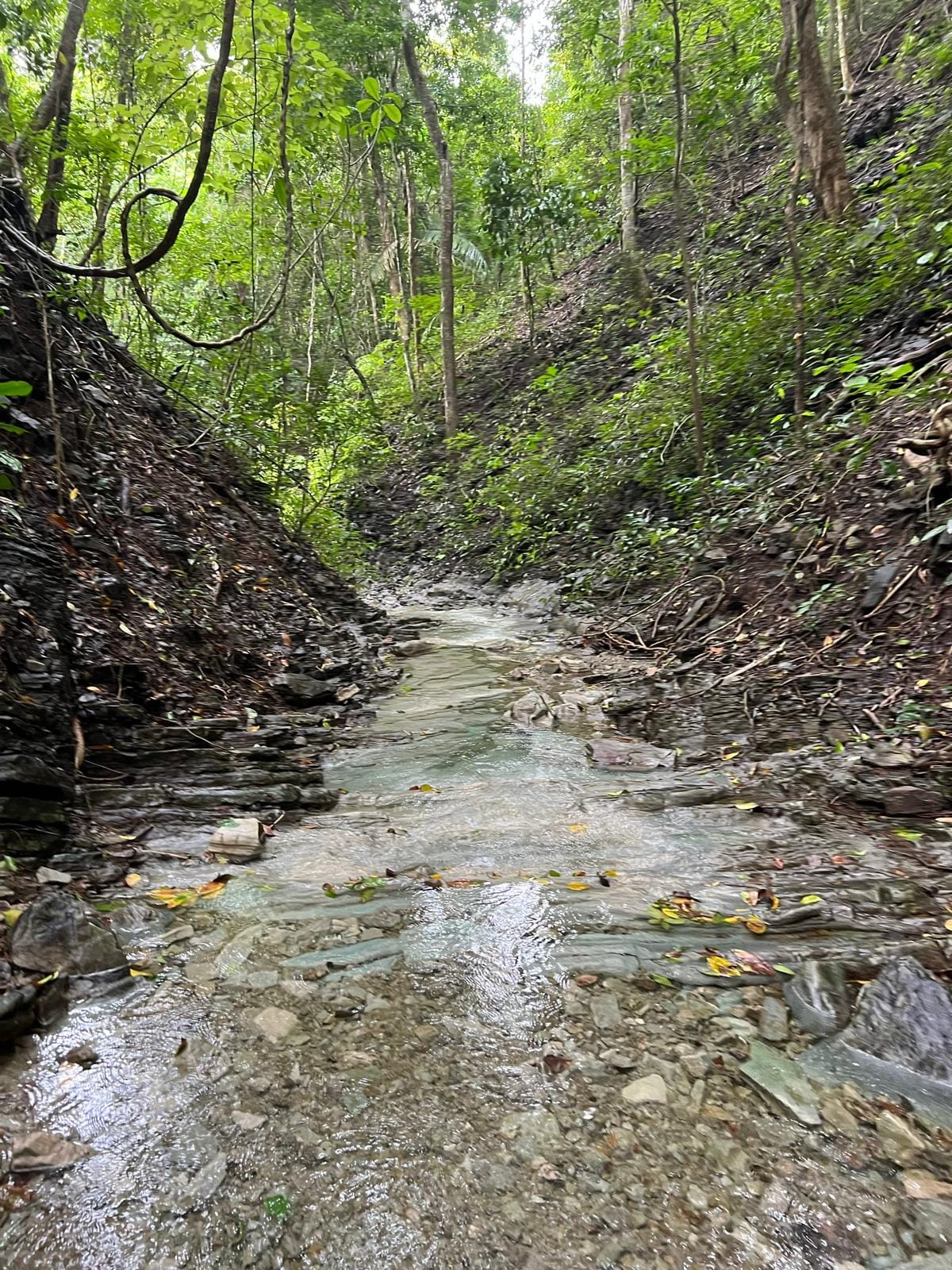 Ocean view home in Playa Hermosa, Santa Teresa