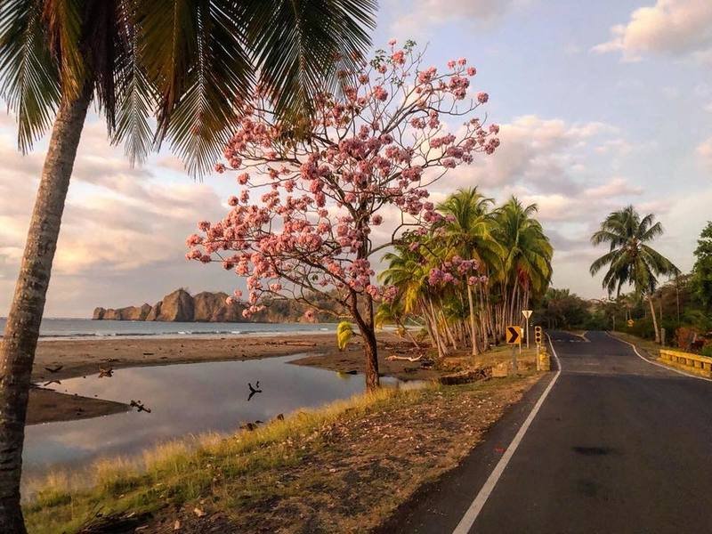 Development opportunity in Playa Carrillo