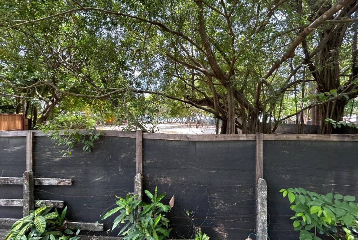 Land in Santa Teresa