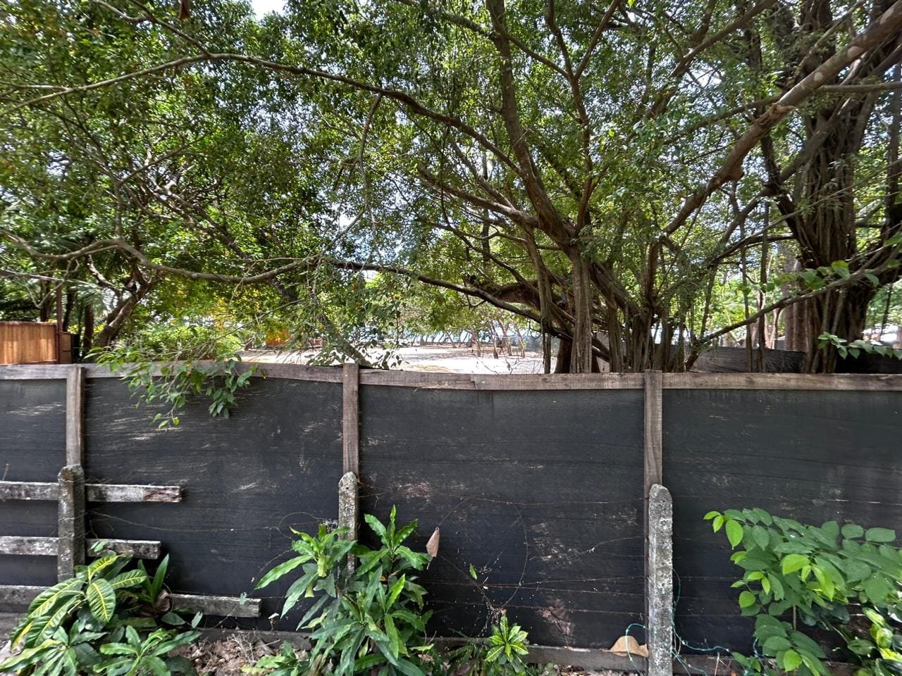 Land in Santa Teresa